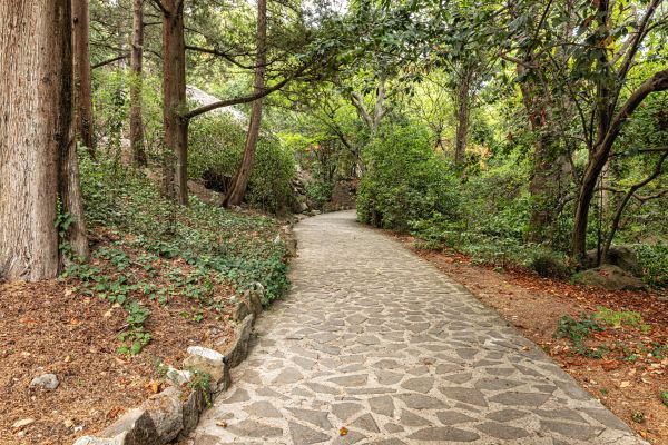 Stone Walkway Repair in Arvada