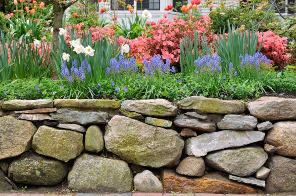 Stone Wall Hardscaping in Arvada