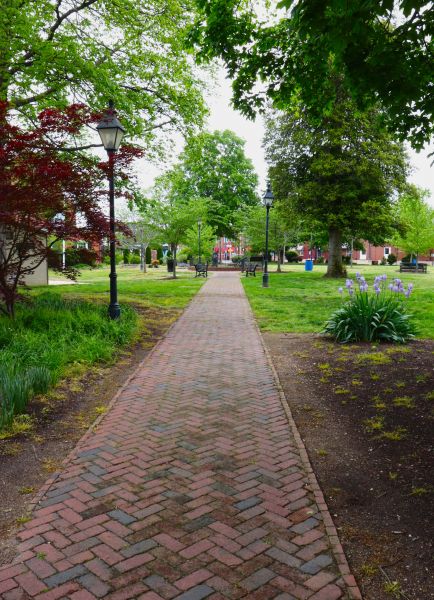 Brick Pathway Repair in Arvada