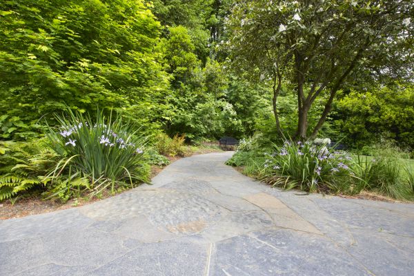 Stone Hardscape Service in Arvada