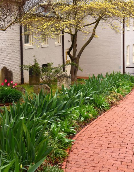 Brick Flatwork Repair in Arvada